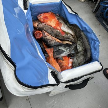 Graphic Slayer Sportfishing - Boat Charters Near Me