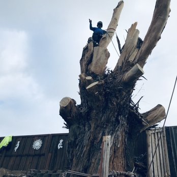 Grizzly Tree Trimming Services - Removal - Tree Services Near Me