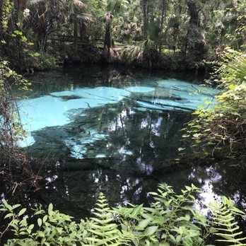 Juniper Springs Recreation Area - Parks Near Me - Silver Springs, Florida Juniper Springs Recreation Area - Parks Near Me - Silver Springs, Florida