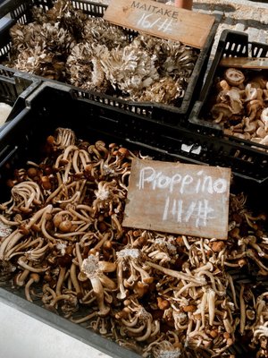Headhouse Farmers’ Market by null