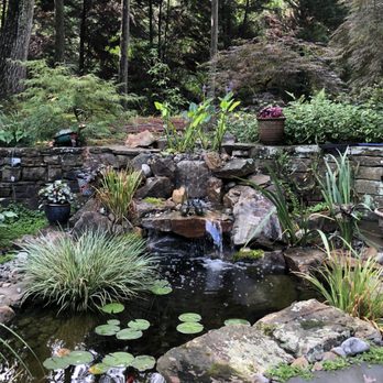 Just Pondering - Dream come true! - Landscaping Near Me - Wake Forest, North Carolina Just Pondering - Dream come true! - Landscaping Near Me - Wake Forest, North Carolina
