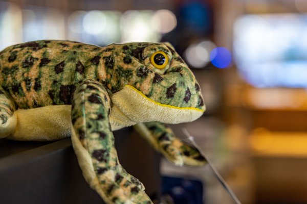 Kings Canyon Visitor Center by null