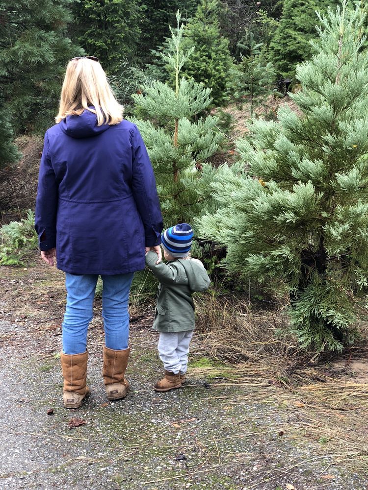 FOUR WINDS RANCH Updated July 2024 41 Photos & 79 Reviews 19679