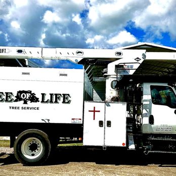 Tree Of Life - Tree Services Near Me - Oroville, California Tree Of Life - Tree Services Near Me - Oroville, California