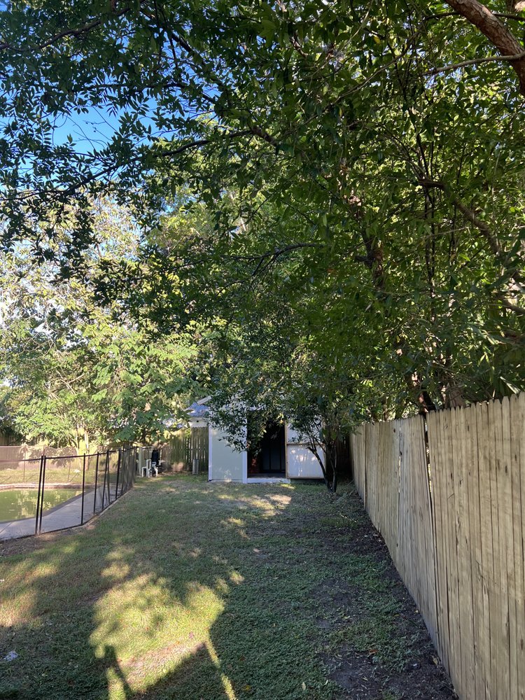 Quality & Affordable Plus - tree service in Tampa, FL