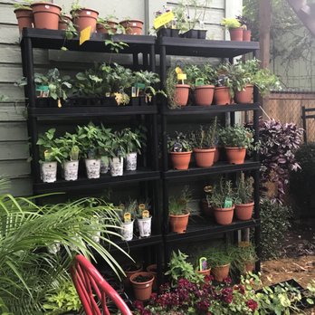 City Grows - Gift Shops Near Me - Pittsburgh, Pennsylvania City Grows - Gift Shops Near Me - Pittsburgh, Pennsylvania