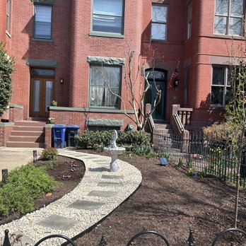 Redline Outdoor Services - After in NE D.C. - Tree Services Near Me Redline Outdoor Services - After in NE D.C. - Tree Services Near Me