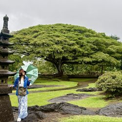 Liliuokalani Park and Gardens - Lush in green!!