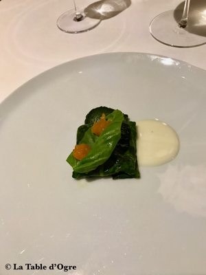 PiperoRoma by null