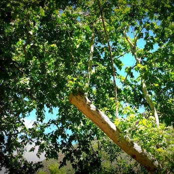 Manzanita Campground - Campgrounds Near Me - Sedona, Arizona
