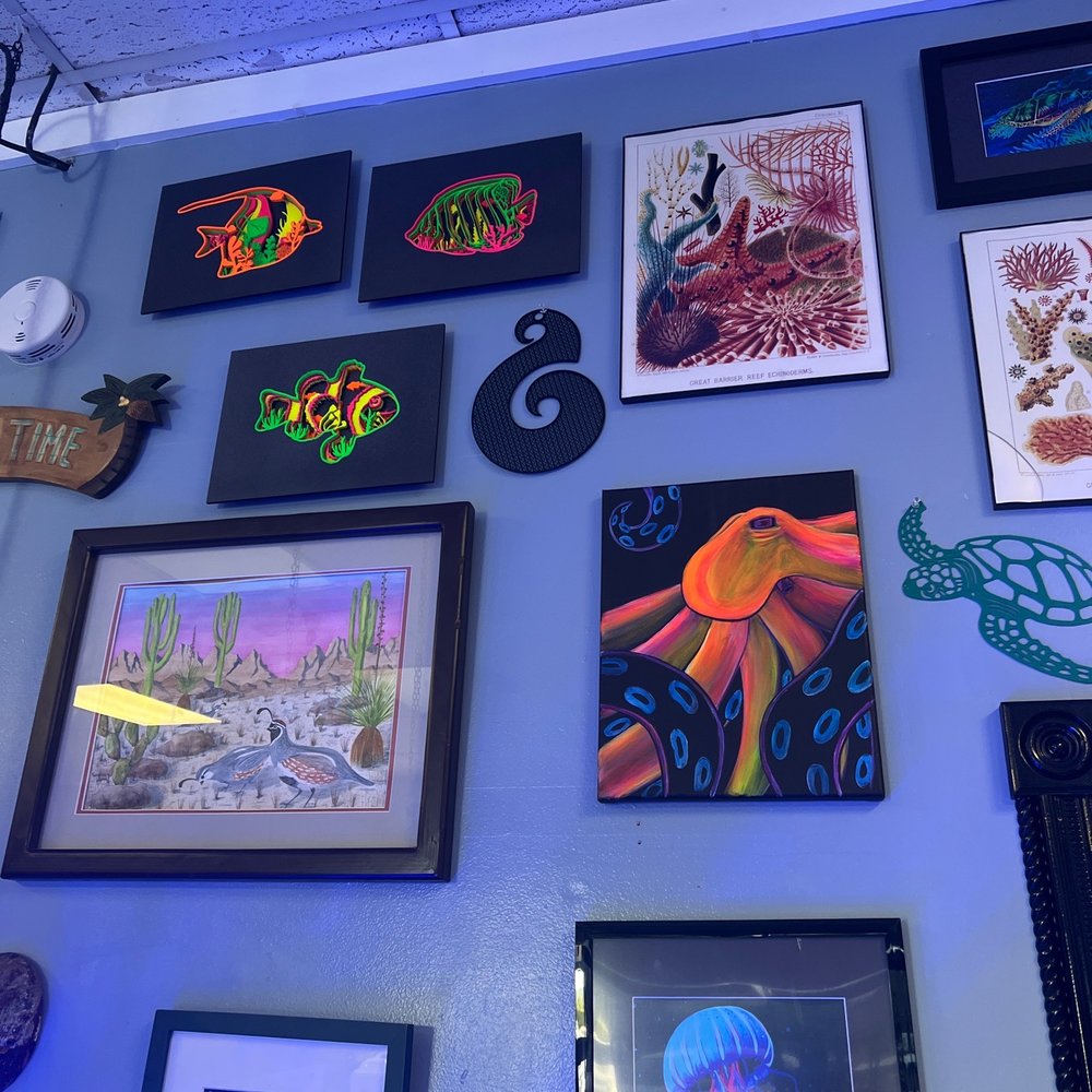 Hammer Aquatics - Aquarium Services Near Me - Menifee, California Hammer Aquatics - Aquarium Services Near Me - Menifee, California