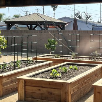 Glendora Gardens Nursery and Tree Farm - After - Nurseries & Gardening Near Me - Glendora, California