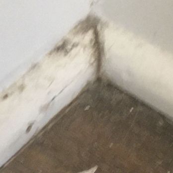 Redwood Ankeny - Mold in bathroom around baseboards. - Apartments Near Me - Ankeny, Iowa Redwood Ankeny - Mold in bathroom around baseboards. - Apartments Near Me - Ankeny, Iowa