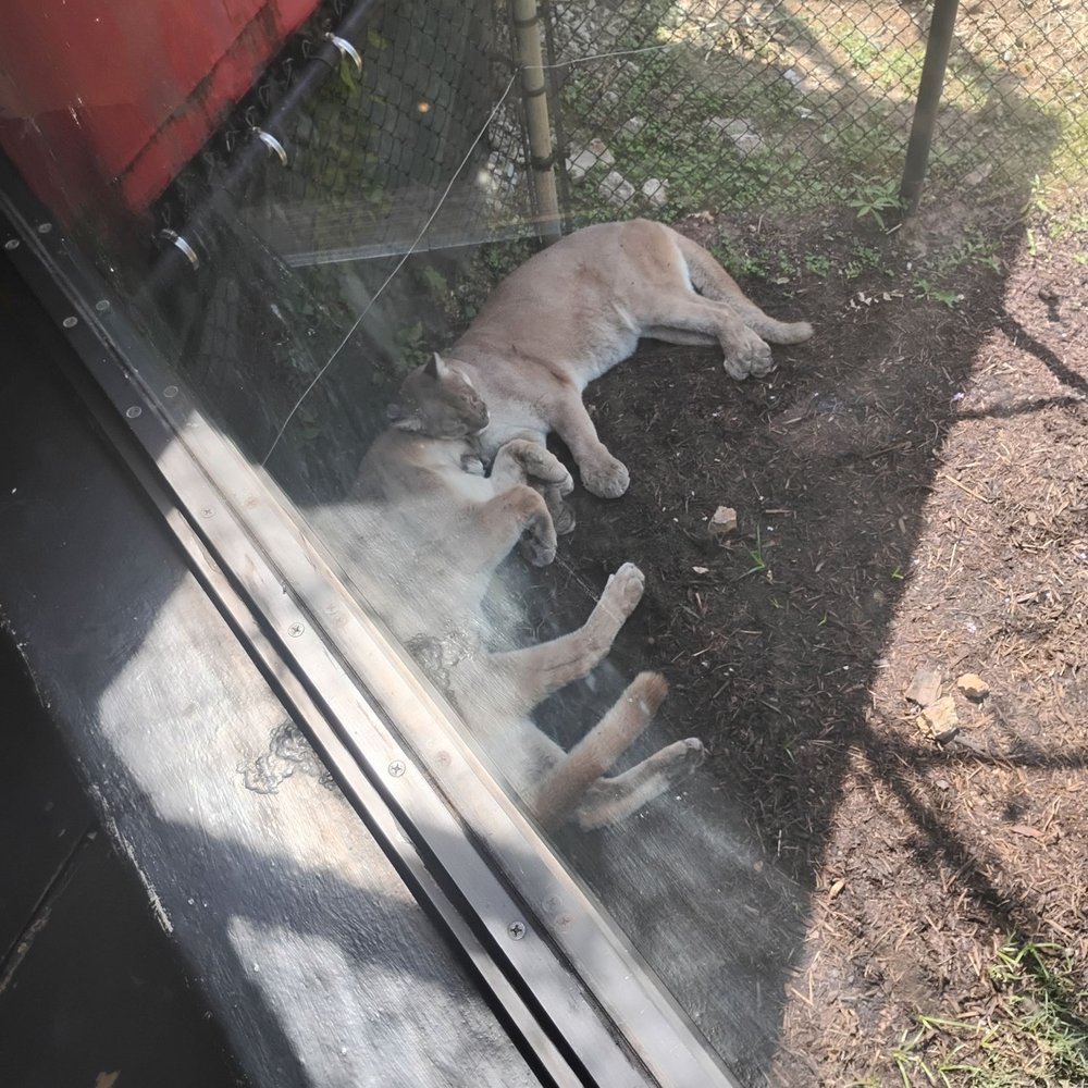 Chattanooga Zoo At Warner Park - Amusement Parks Near Me - Chattanooga, Tennessee