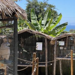 Santa Barbara Bird Sanctuary & Menagerie