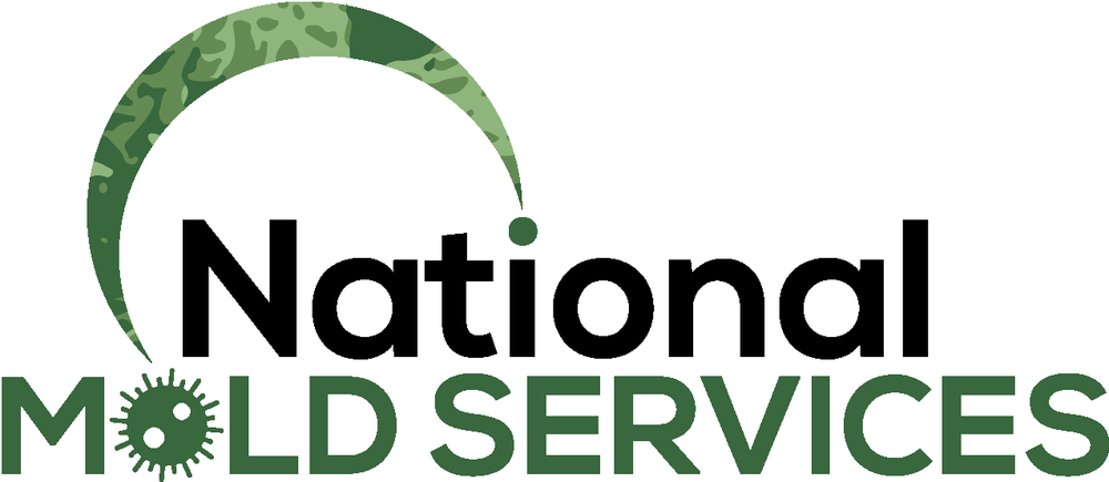 national mold experts - mold inspector in Hialeah, FL