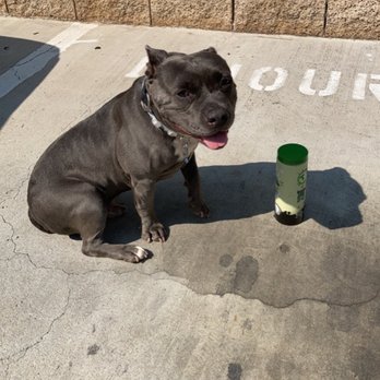 Tea Brick - stokely wishes he could drink boba - Tea Rooms Near Me - Monterey Park, California Tea Brick - stokely wishes he could drink boba - Tea Rooms Near Me - Monterey Park, California