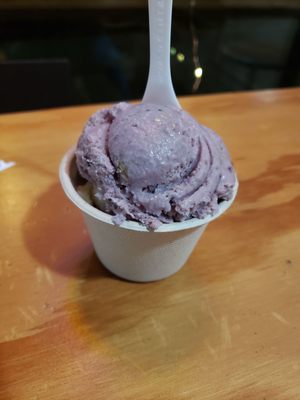 Sweet Alchemy Ice Creamery Ballard by null