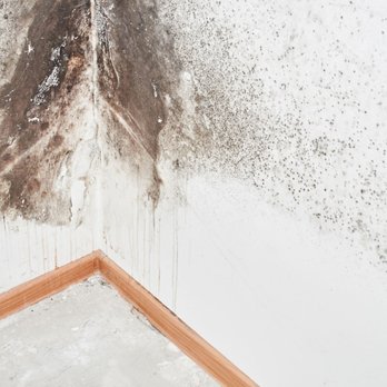 Green Home Solutions of Western Connecticut - Home Inspectors Near Me - Danbury, Connecticut