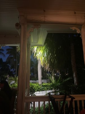 Butterfly Café by null