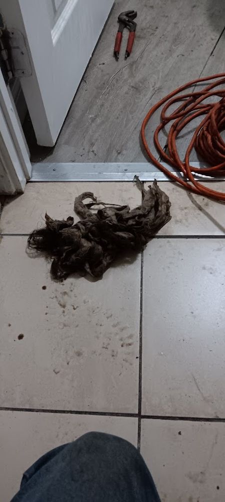 Slide of Pm drain cleaning