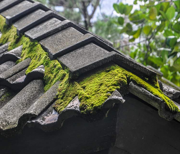 Slide of Roof Pros Roofing