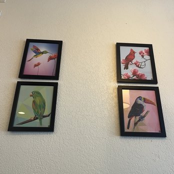 Uncle Chin's Kitchen - Birds - Malaysian Near Me - Katy, Texas