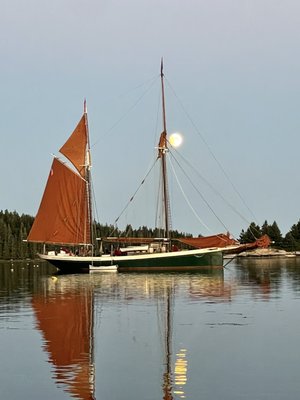 Windjammer Angelique by null