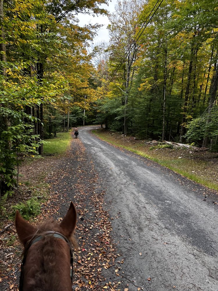 BLACK DOME GUIDE AND ROUGH RIDERS RANCH Updated June 2024 73 Photos