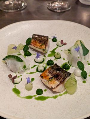 The Silver Birch by null