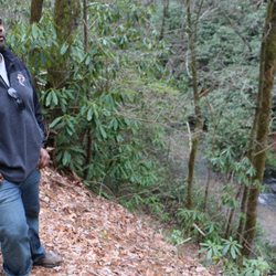 Upper Moccasin Creek Falls - One of many sheer drops directly next to the trail. Easily a 50-60 foot tumble sure to injure or worse.