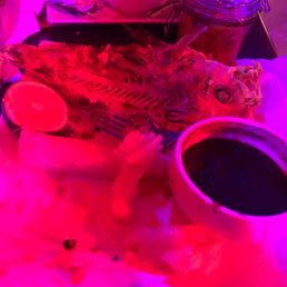Whole Red Snapper
