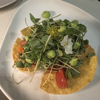 Rubell Museum - Tomato appetizer as part of Miami Spice 2022 - Art Museums Near Me - Miami, Florida