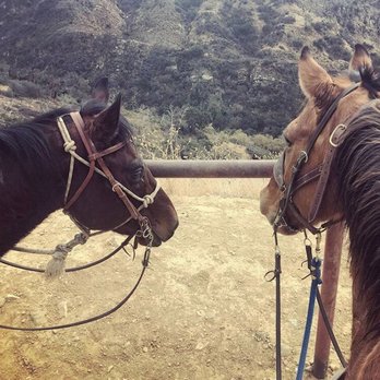 Circle Bar B Stables - Horseback Riding Near Me - Santa Barbara, California