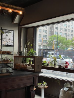 Birch Coffee by null