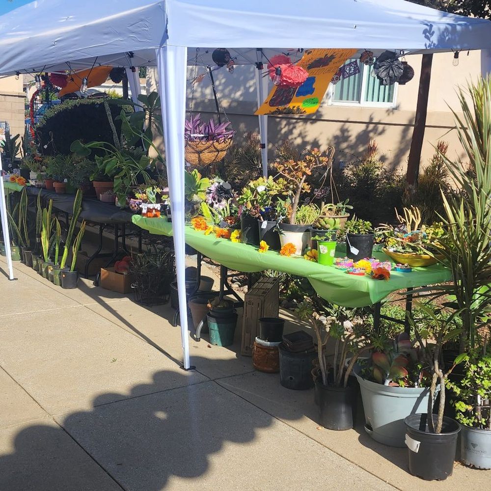 St Pius X Catholic Church - Fall festival plant booth brought to you by the Alter and Rosary Society. - Churches Near Me - Chula Vista, California St Pius X Catholic Church - Fall festival plant booth brought to you by the Alter and Rosary Society. - Churches Near Me - Chula Vista, California