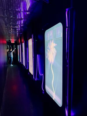 XR Bar at ARTECHOUSE by null