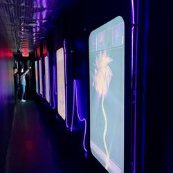 user provided ARTECHOUSE DC photo