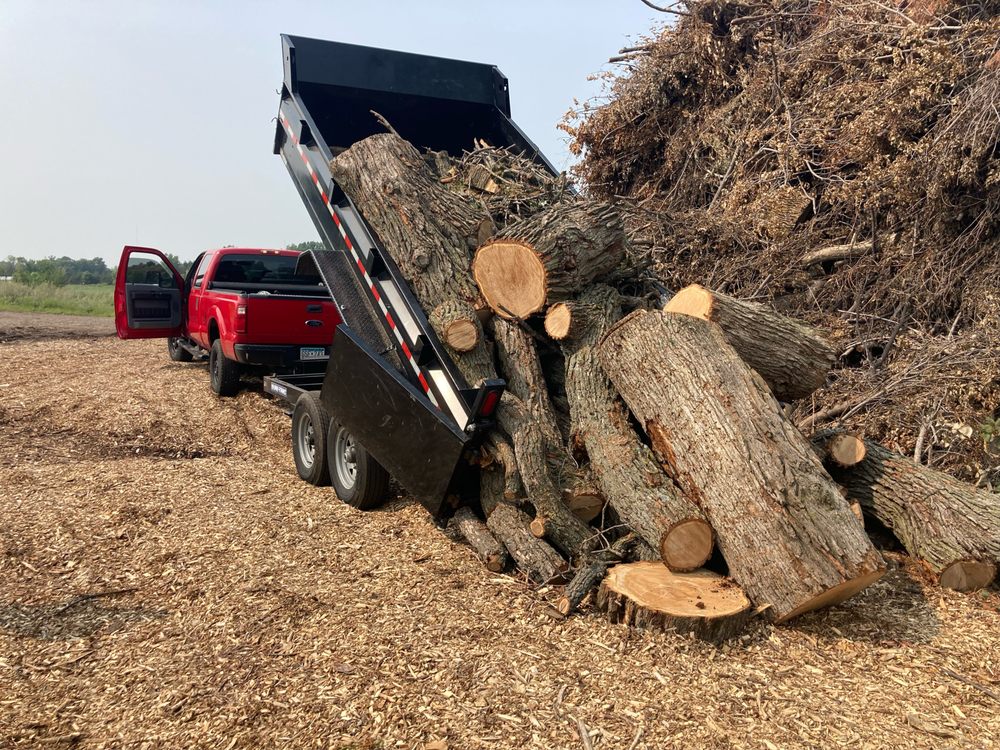 Calabrese Tree Care - tree service in Ramsey, MN