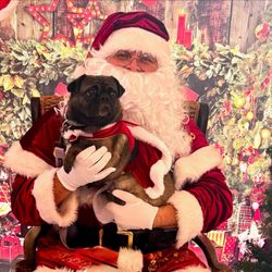 Woof Gang Bakery & Grooming Fort Lauderdale