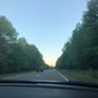 Photo of Palisades Interstate Parkway