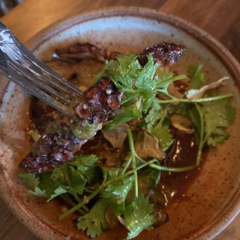 Little Donkey - Tapas/Small Plates Near Me - Cambridge, Massachusetts Little Donkey - Tapas/Small Plates Near Me - Cambridge, Massachusetts