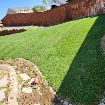 Always Green - a backyard with a lawn and a fence - Landscaping Near Me Always Green - a backyard with a lawn and a fence - Landscaping Near Me