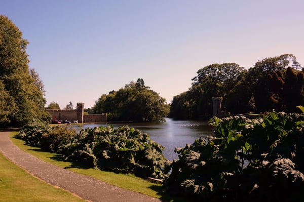 Johnstown Castle by null