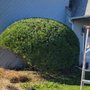 Photo of Quick Solution Property Care