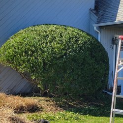 Quick Solution Property Care - with fair prices