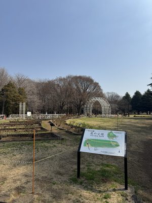 Yoyogi Park by null