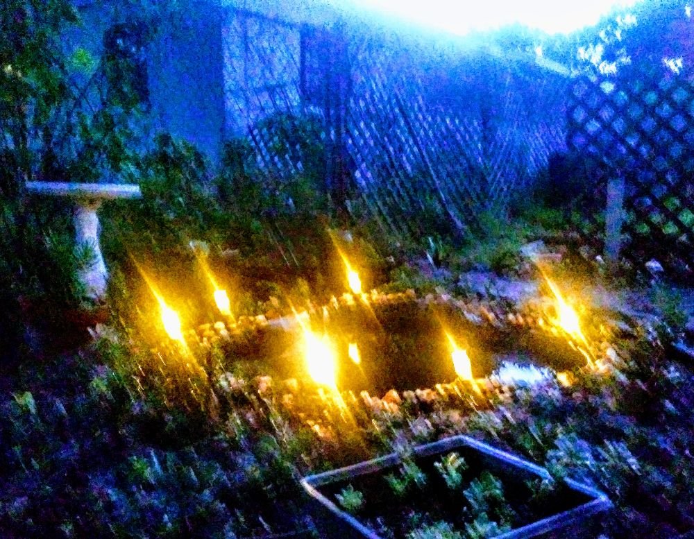 Bravo House - social services organization in Tampa, FL