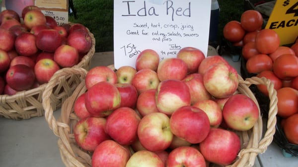 Saucon Valley Farmers' Market by null