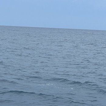 Blue Dolphin Charters - Dull day... no sun.   Champagne at sunset was like sugar... not tasty at Nora's you are a bee. - Boating Near Me - Eleele, Hawaii